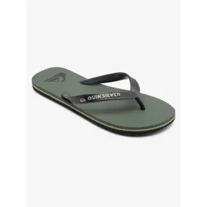 Žabky Quiksilver Molokai image-1
