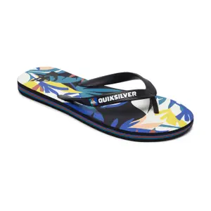 Žabky Quiksilver Molokai Tropical Flow image-0