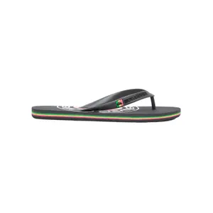 Žabky Quiksilver Molokai Pulse image-0