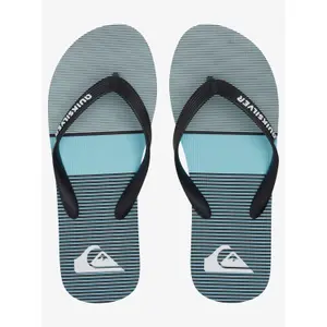 Tongs Quiksilver Molokai Tijuana image-2