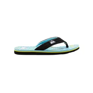 Tongs Quiksilver Molokai Lay image-0