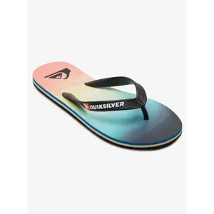 Tongs Quiksilver Molokai Faded Tide image-1