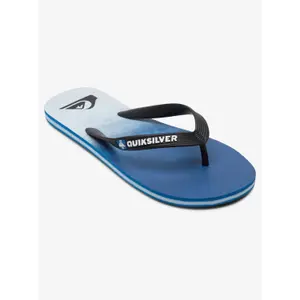 Tongs Quiksilver Molokai Faded Tide image-2