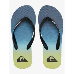 Tongs Quiksilver Molokai New Wave image-3