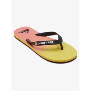 Tongs Quiksilver Molokai New Wave image-1