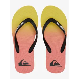 Tongs Quiksilver Molokai New Wave image-3