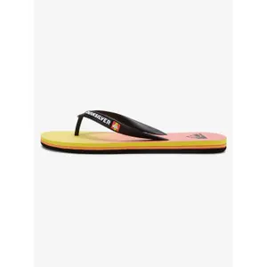 Tongs Quiksilver Molokai New Wave image-2