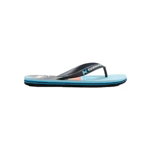 Tongs Quiksilver Molokai Panel image-0