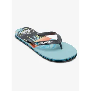 Tongs Quiksilver Molokai Panel image-1