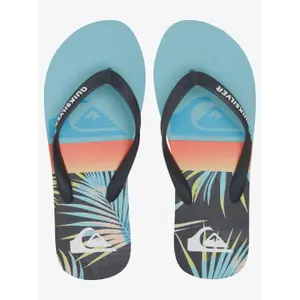 Tongs Quiksilver Molokai Panel image-2