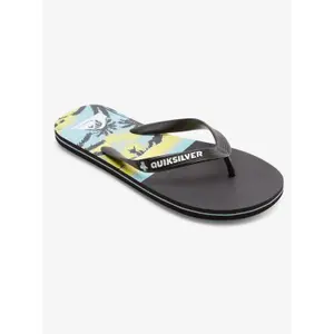 Tongs Quiksilver Molokai image-1