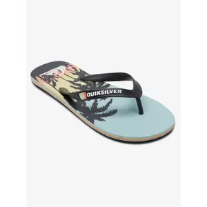 Tongs Quiksilver Molokai Art image-1