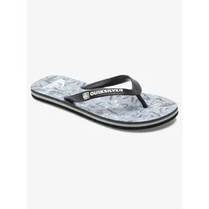 Tongs Quiksilver Molokai Art image-1