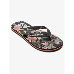 Tongs Quiksilver Molokai Art image-1