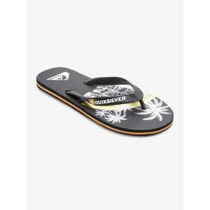 Tongs Quiksilver Molokai Art Sl image-1