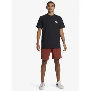 Póló Quiksilver Thorn Logo image-2