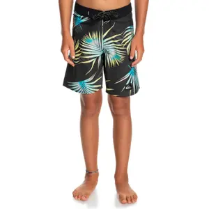 Children's swimming shorts Quiksilver Highlite Arch 16 image-2
