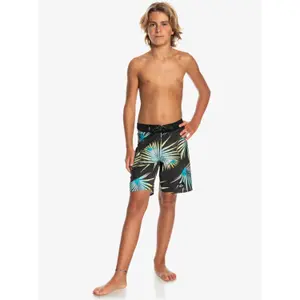 Children's swimming shorts Quiksilver Highlite Arch 16 image-4