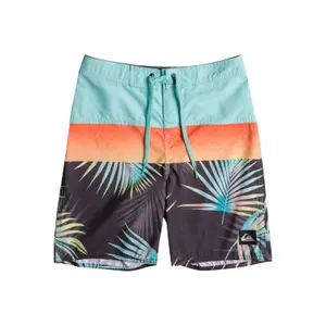 Children's swimming shorts Quiksilver Everyday Panel image-0