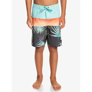 Children's swimming shorts Quiksilver Everyday Panel image-2