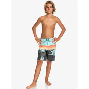 Children's swimming shorts Quiksilver Everyday Panel image-4