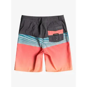 Children's swimming shorts Quiksilver Everyday Panel image-1