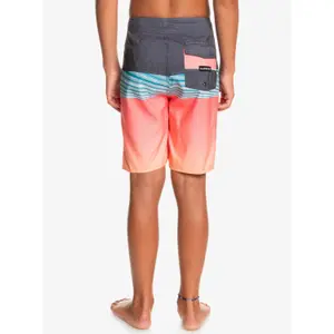 Children's swimming shorts Quiksilver Everyday Panel image-5