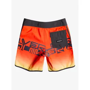 Children's swimming shorts Quiksilver Everyday Scallop image-1