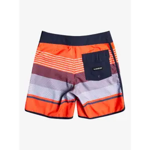 Children's swimming shorts Quiksilver Everyday Scallop image-1