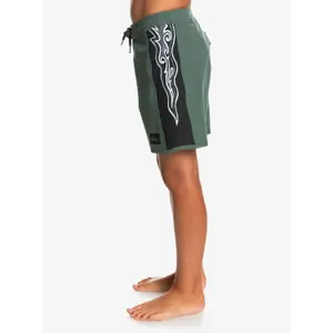 Children's swimming shorts Quiksilver SurfSurfsilk Arch image-3