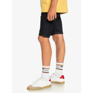 Children's shorts Quiksilver Modern Flave Rinse image-3