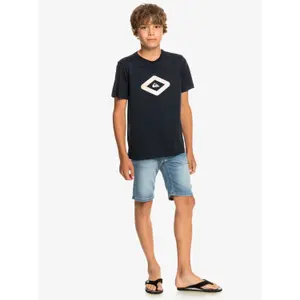 Children's shorts Quiksilver Modern Flave Saltwater image-5