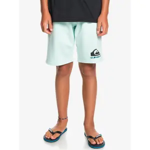Children's shorts Quiksilver Easy Day image-2