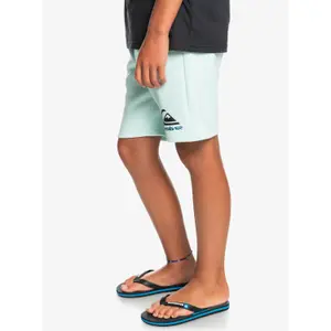 Children's shorts Quiksilver Easy Day image-3