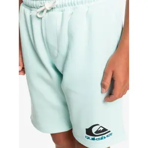 Children's shorts Quiksilver Easy Day image-4