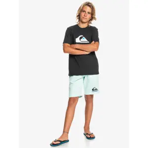 Children's shorts Quiksilver Easy Day image-6