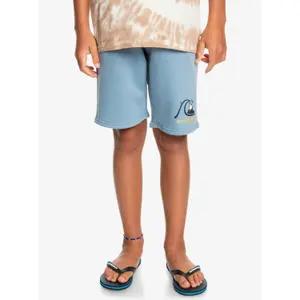 Children's shorts Quiksilver Easy Day image-2