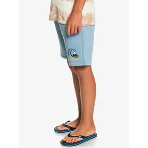 Children's shorts Quiksilver Easy Day image-3