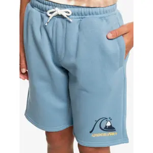 Children's shorts Quiksilver Easy Day image-4
