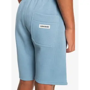 Children's shorts Quiksilver Easy Day image-5