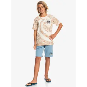 Children's shorts Quiksilver Easy Day image-6