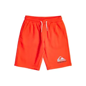 Children's shorts Quiksilver Easy Day image-0
