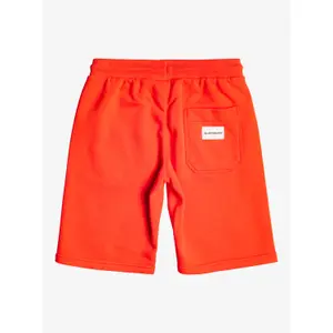 Children's shorts Quiksilver Easy Day image-1