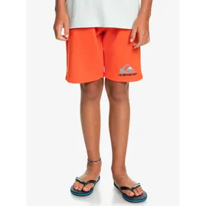 Children's shorts Quiksilver Easy Day image-2