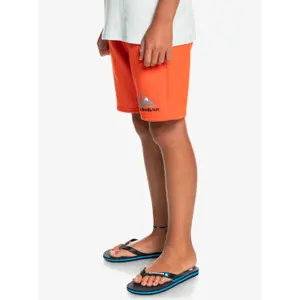 Children's shorts Quiksilver Easy Day image-3
