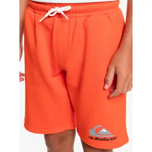 Children's shorts Quiksilver Easy Day image-4