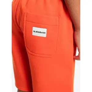 Children's shorts Quiksilver Easy Day image-5
