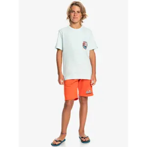 Children's shorts Quiksilver Easy Day image-6