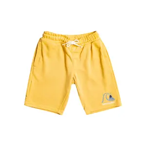 Children's shorts Quiksilver Easy Day image-0