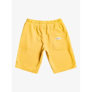 Children's shorts Quiksilver Easy Day image-1